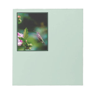 Ruby-throated Hummingbird - Original Foto Notizblock