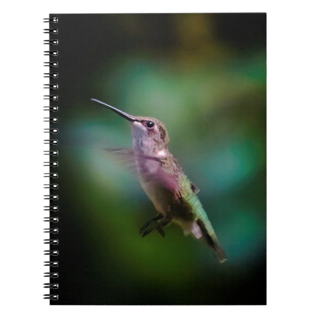 Ruby-throated Hummingbird - Original Foto Notizblock (Vorderseite)