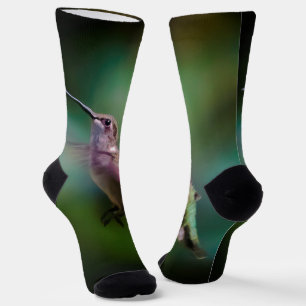 Ruby-throated Hummingbird - Original Foto Socken