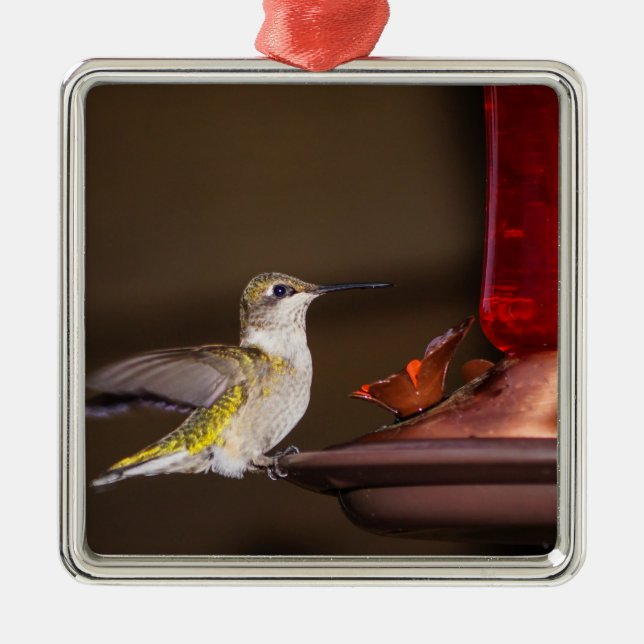 Ruby-throated Hummingbird Ornament Aus Metall (Vorne)