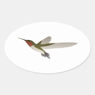 Ruby Throated Hummingbird Ovaler Aufkleber