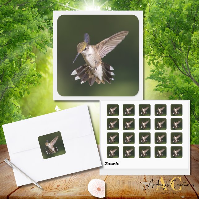 Ruby-Throated Hummingbird Quadratischer Aufkleber (Von Creator hochgeladen)