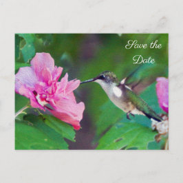 Ruby Throated Hummingbird Save the Date Postcard Ankündigungspostkarte