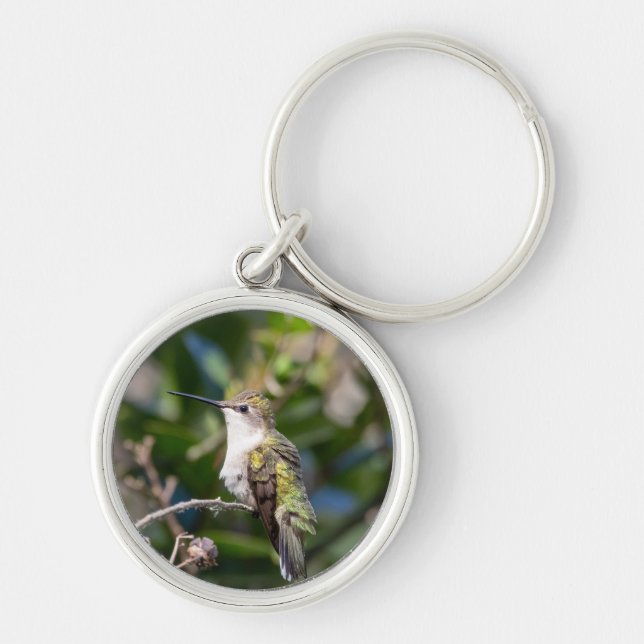 Ruby-Throated Hummingbird Schlüsselkette #4Q7A5301 Schlüsselanhänger (Vorne)