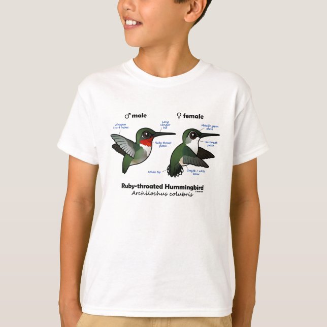 Ruby-throated Hummingbird Statistics T-Shirt (Vorderseite)