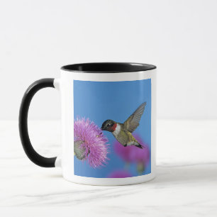 Ruby-throated Hummingbird Tasse