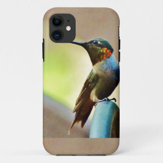 Ruby und Grüner kleiner Hummingbird title_seo2
