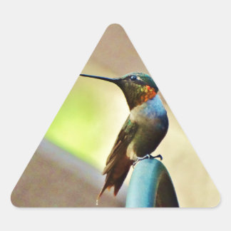 Ruby und Grüner kleiner Hummingbird Dreieckiger Aufkleber