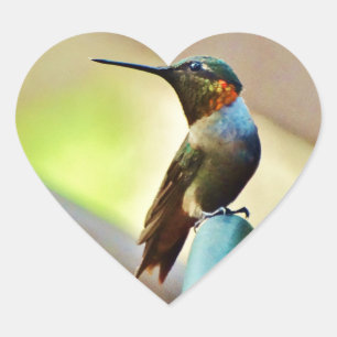 Ruby und Grüner kleiner Hummingbird Herz-Aufkleber