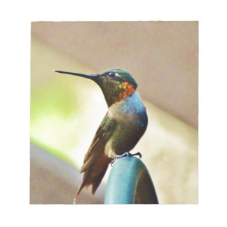 Ruby und Grüner kleiner Hummingbird Notizblock