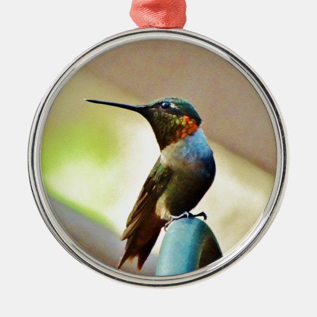 Ruby und Grüner kleiner Hummingbird Silbernes Ornament (Vorne)