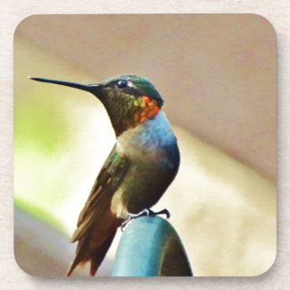 Ruby und Grüner kleiner Hummingbird Untersetzer