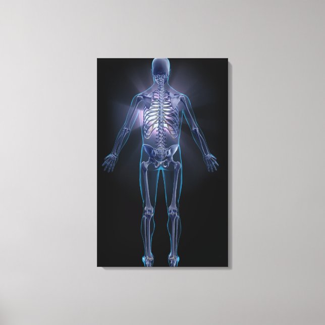 Rückansicht eines menschlichen Skeletts Leinwanddruck (Vorderseite)