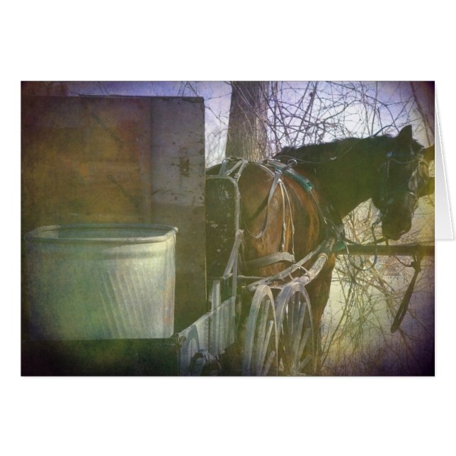 Rückblick (Vorderseite (Horizontal))