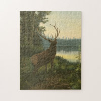 Rückblick auf den Elk Blick auf den See
