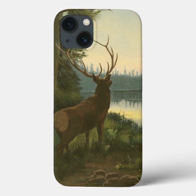 Rückblick auf den Elk Blick auf den See Case-Mate iPhone Hülle (Rückseite)