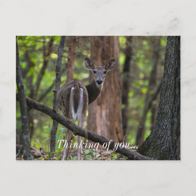 Rückblick schmerzhaft postkarte (Vorderseite)