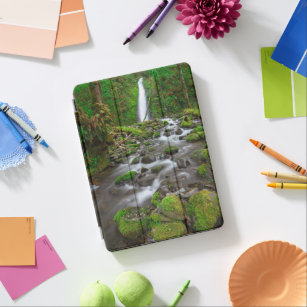 Ruckel Creek Falls, Columbia River Gorge Oregon iPad Air Hülle