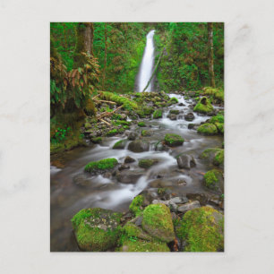 Ruckel Creek Falls, Columbia River Gorge Oregon Postkarte