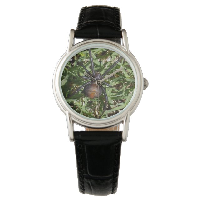 Rücken der Spinne auf grünem Gras, Armbanduhr (Vorderseite)