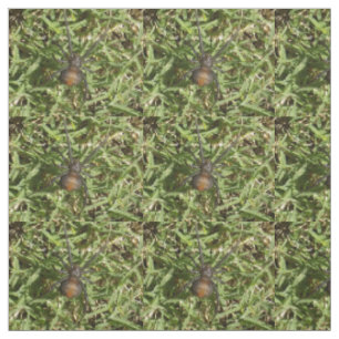 Rücken der Spinne auf grünem Gras, Stoff