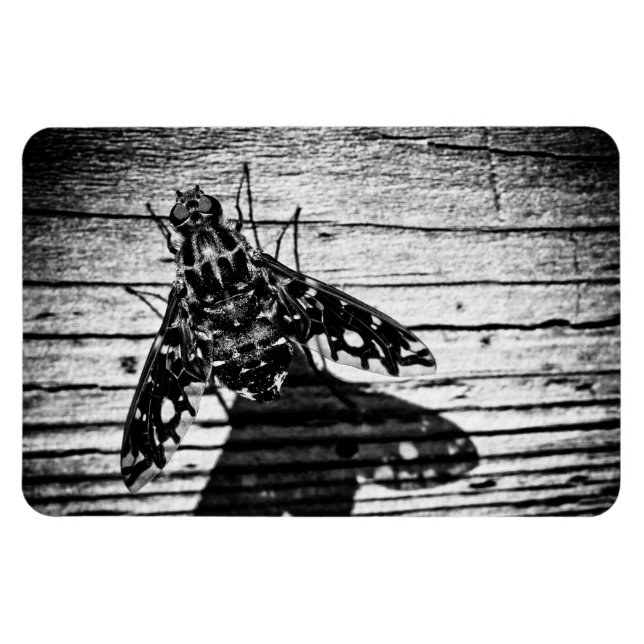 Rückflug Magnet (Horizontal)