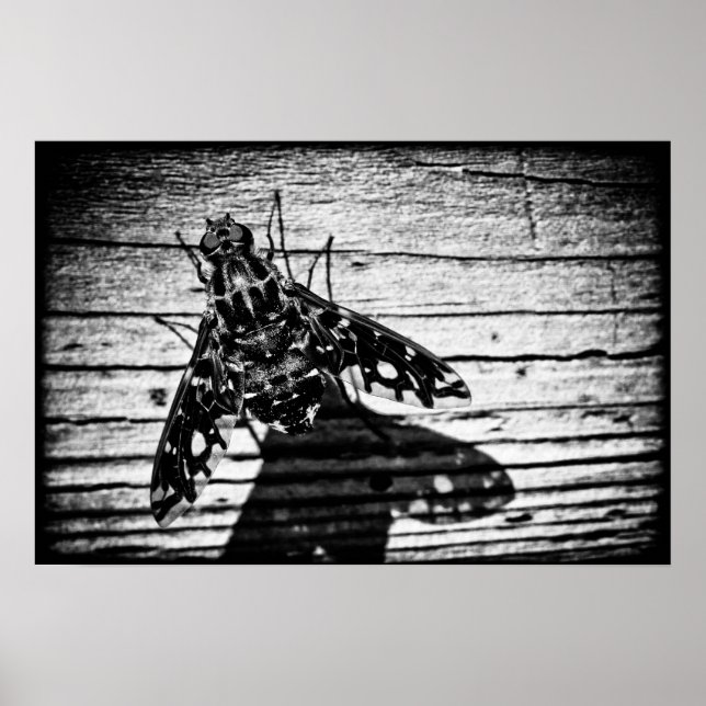 Rückflug Poster (Vorne)