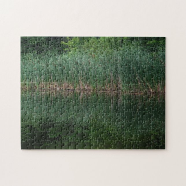 Rückflüsse der Katzen im Teichbereich (Horizontal)