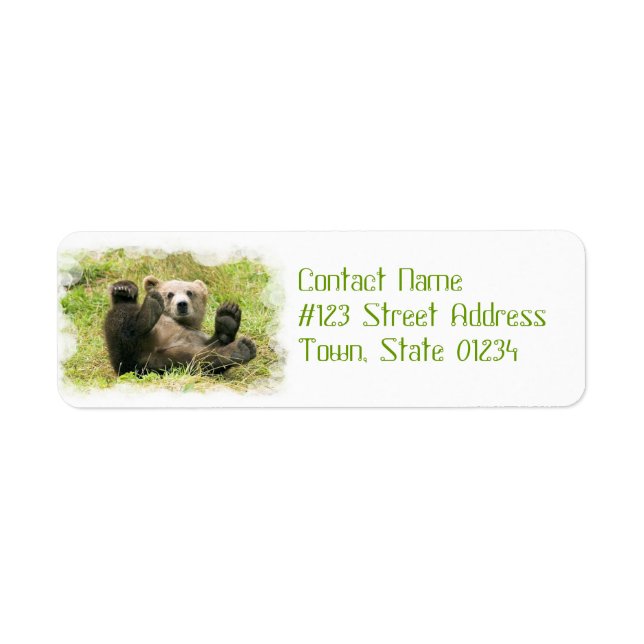 Rückgabeadresse für Baby-Bear (Vorne)