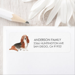 Rückgabeadresse für Basset-Hund