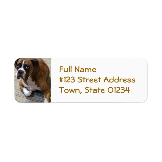 Rückgabeadresse für Boxer Hund (Vorne)