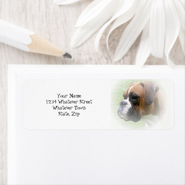 Rückgabeadresse für Boxer Hund (Insitu)