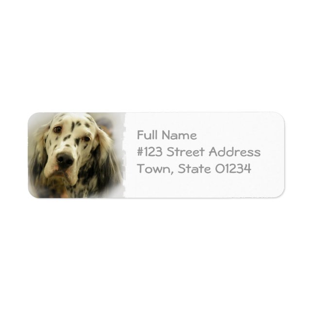 Rückgabeadresse für englische Setter (Vorne)