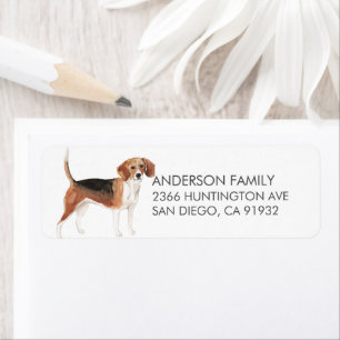 Rückgabeadresse für niedliche Beagle