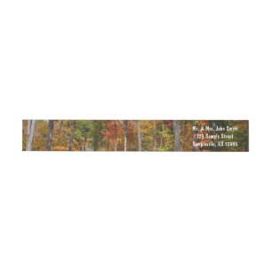 Rückgang der waldfarbenen Herbstfotografie