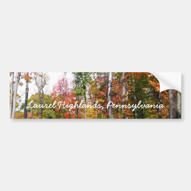 Rückgang der waldfarbenen Herbstfotografie Autoaufkleber (Vorne)