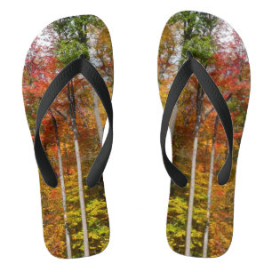 Rückgang der waldfarbenen Herbstfotografie Flip Flops