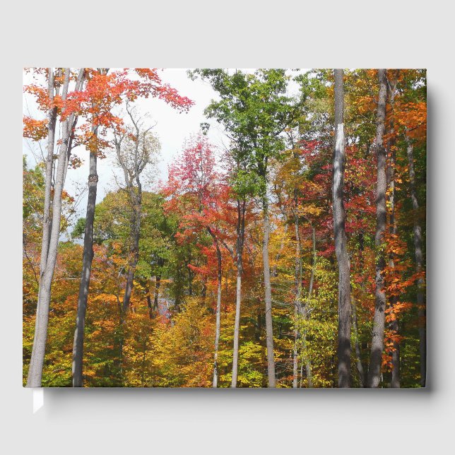 Rückgang der waldfarbenen Herbstfotografie Gästebuch (Vorderseite)