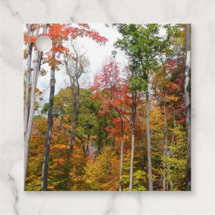 Rückgang der waldfarbenen Herbstfotografie Geschenkanhänger