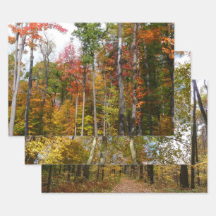 Rückgang der waldfarbenen Herbstfotografie Geschenkpapier Set