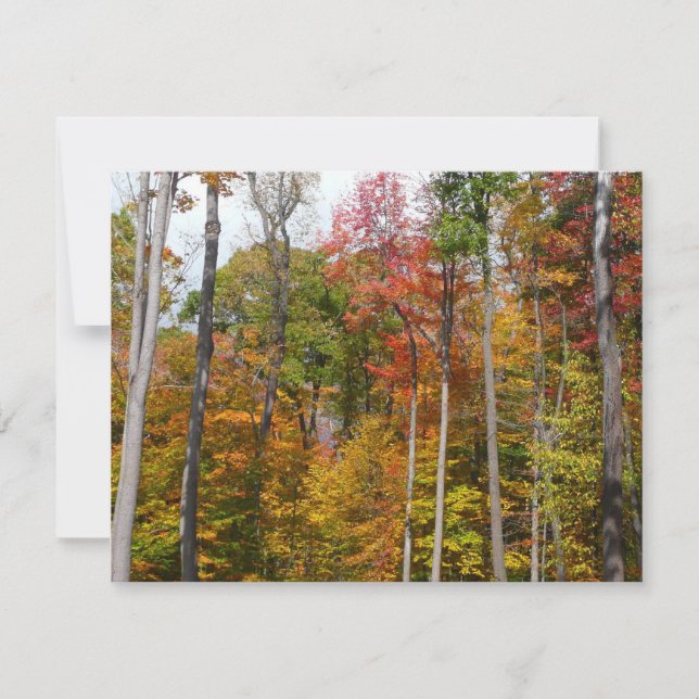 Rückgang der waldfarbenen Herbstfotografie Karte (Vorderseite)