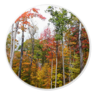 Rückgang der waldfarbenen Herbstfotografie Keramikknauf