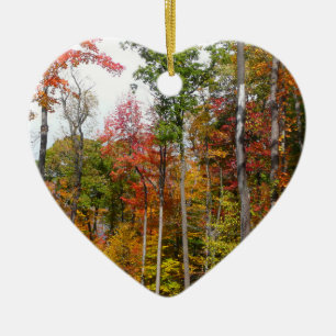 Rückgang der waldfarbenen Herbstfotografie Keramikornament