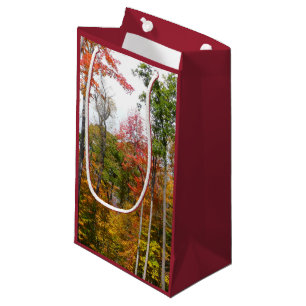 Rückgang der waldfarbenen Herbstfotografie Kleine Geschenktüte