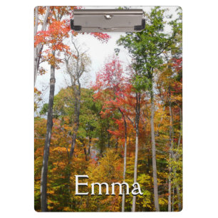 Rückgang der waldfarbenen Herbstfotografie Klemmbrett