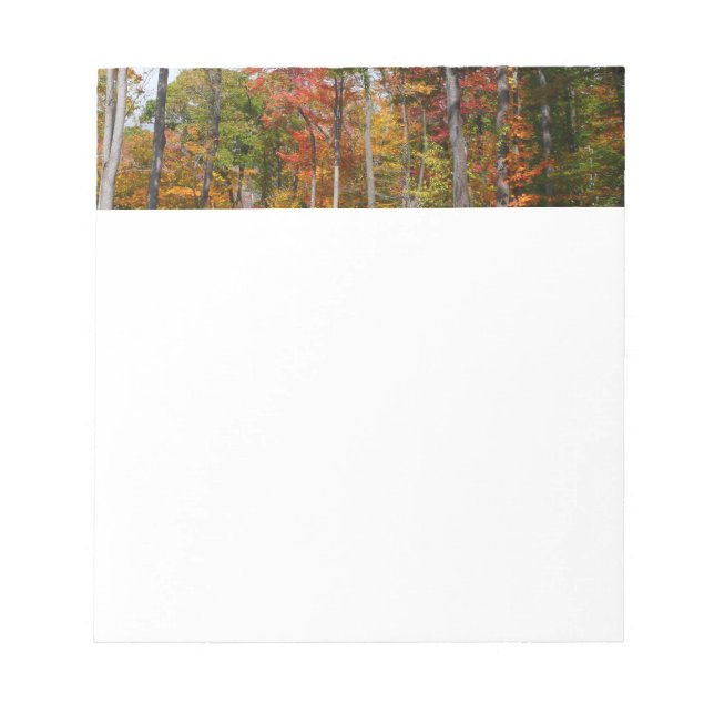 Rückgang der waldfarbenen Herbstfotografie Notizblock (Vorderseite)