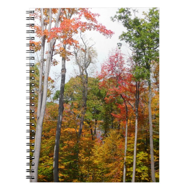 Rückgang der waldfarbenen Herbstfotografie Notizblock (Vorderseite)