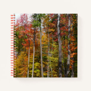 Rückgang der waldfarbenen Herbstfotografie Notizbuch