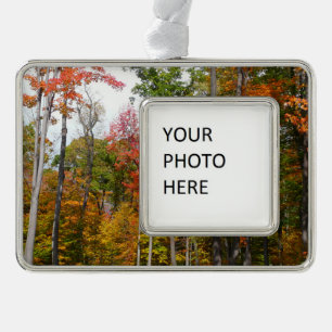 Rückgang der waldfarbenen Herbstfotografie Rahmen-Ornament Silber