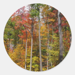 Rückgang der waldfarbenen Herbstfotografie Runder Aufkleber